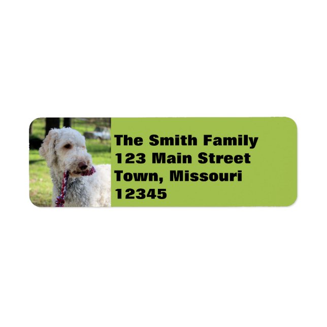 Ollie Return Address Label (Front)