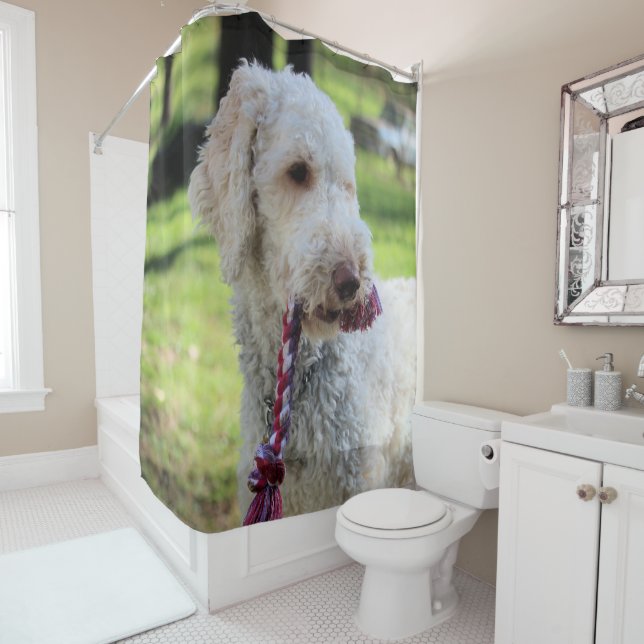 Ollie Shower Curtain (In Situ)