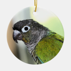 Ollie wallie ceramic ornament