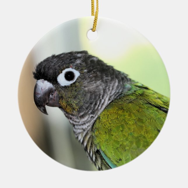 Ollie wallie ceramic ornament (Front)