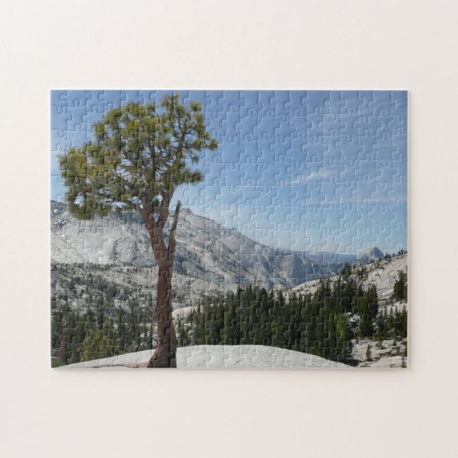 Olmsted Point I at Yosemite National Park Jigsaw Puzzle (Horizontal)