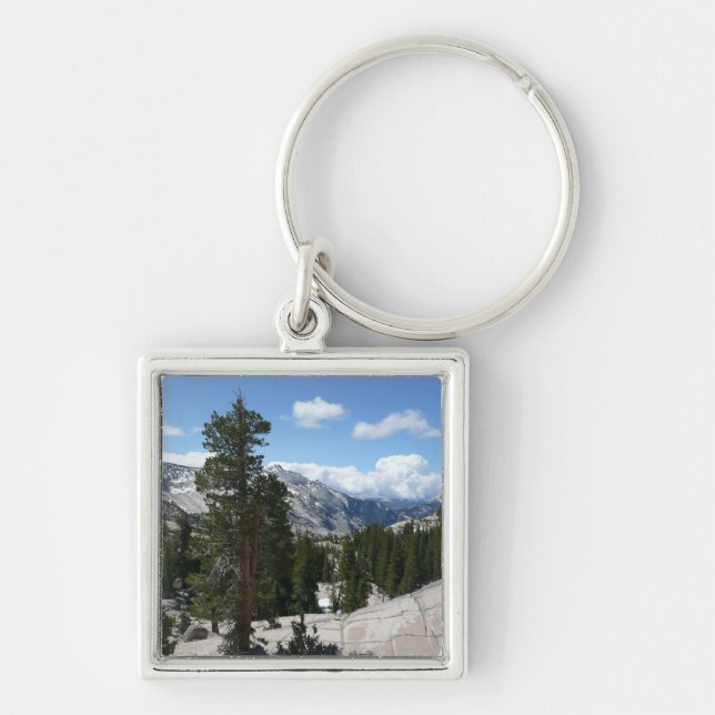 Olmsted Point III in Yosemite National Park Key Ring (Front)