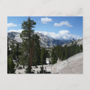 Olmsted Point III in Yosemite National Park Postcard