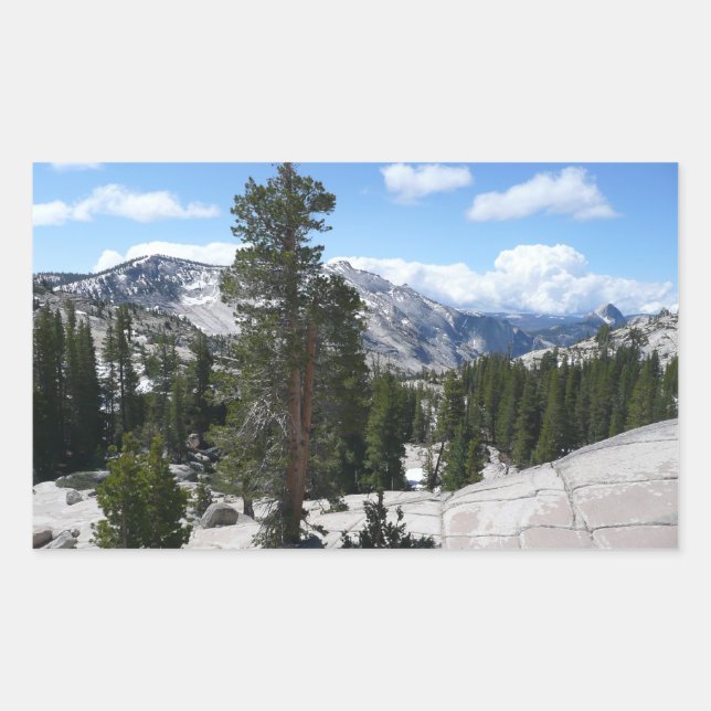 Olmsted Point III in Yosemite National Park Rectangular Sticker (Front)