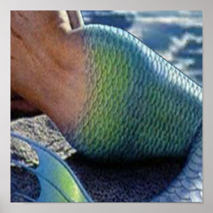 OLOKUN SIRENA POSTER