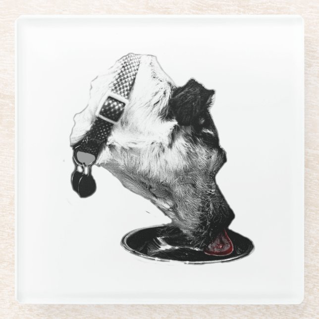 olor Pop Terrier Mix Coaster (Front)
