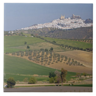 Olvera, Andalusia, Spain Ceramic Tile