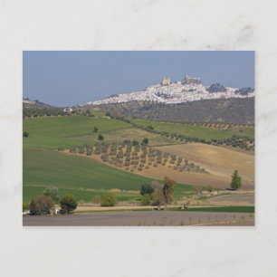 Olvera, Andalusia, Spain Postcard