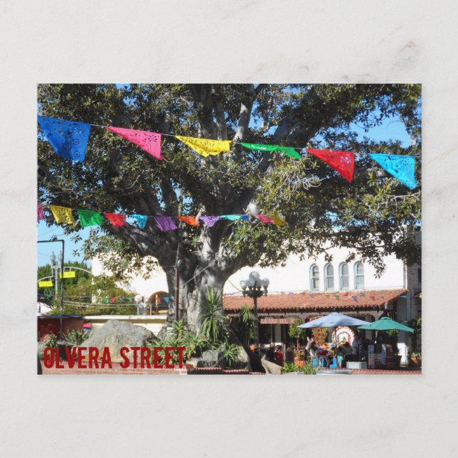 Olvera Street- Los Angeles Postcard (Front)