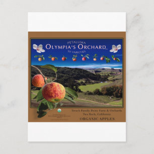 Olympia's Orchard Postcard