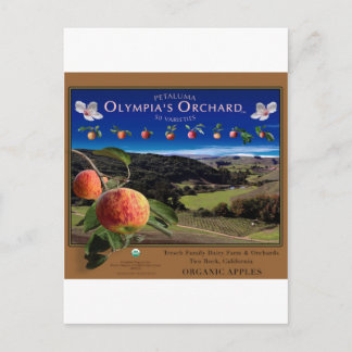 Olympia's Orchard Postcard