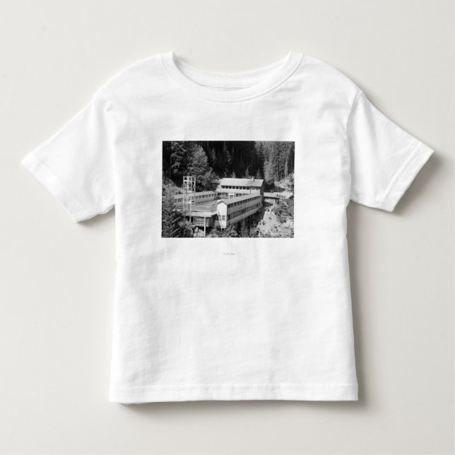 Olympic Hot Springs, WA Lodge View Photograph #1 Toddler T-Shirt (Front)