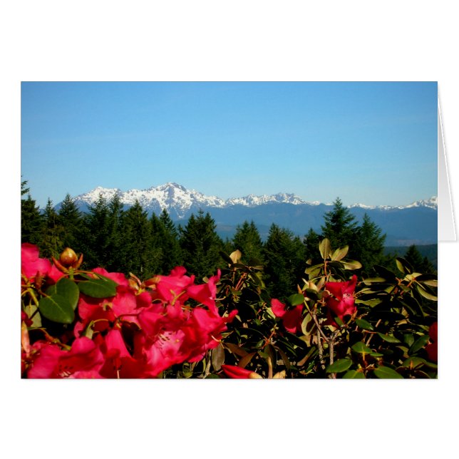 Olympic Mountains and Rododenrons (Front Horizontal)