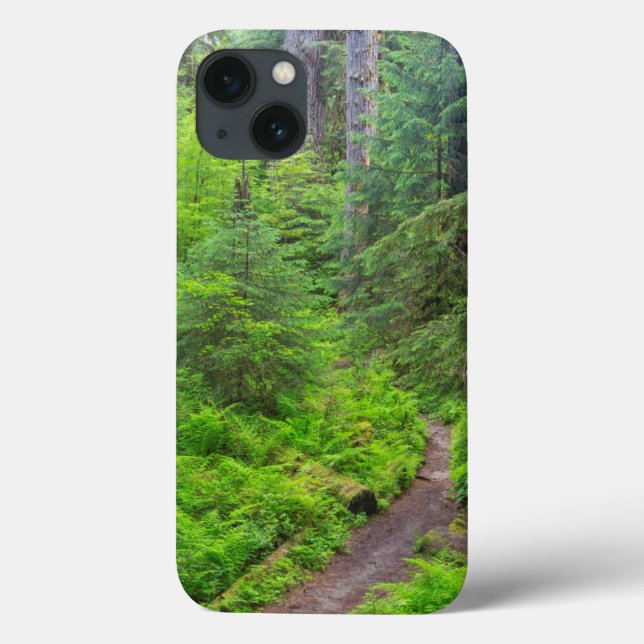 Olympic National Park, Forest trail Case-Mate iPhone Case (Back)