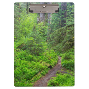 Olympic National Park, Forest trail Clipboard