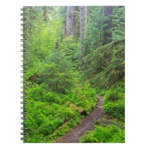 Olympic National Park, Forest trail Notebook