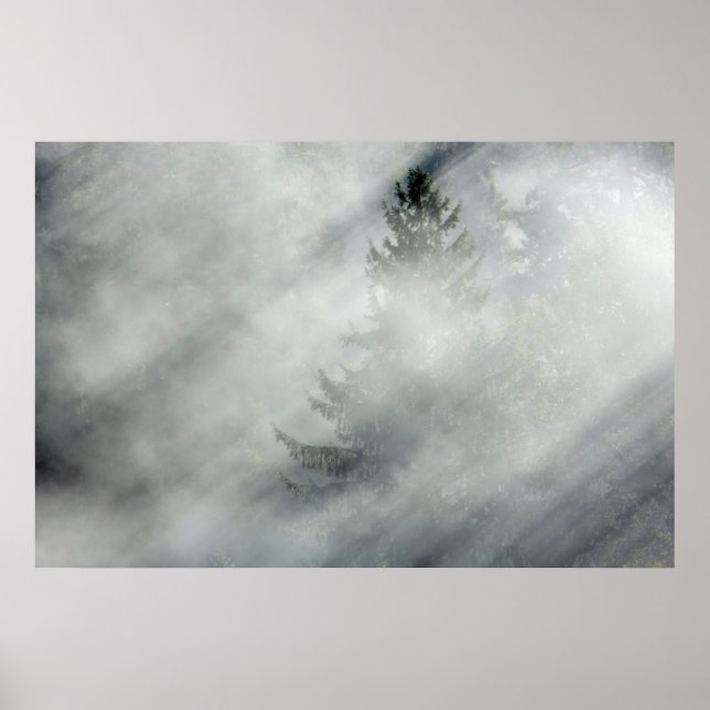 Olympic National Park | Hoh River Valley Poster (Front)