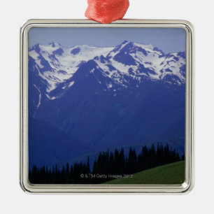 Olympic National Park Metal Ornament