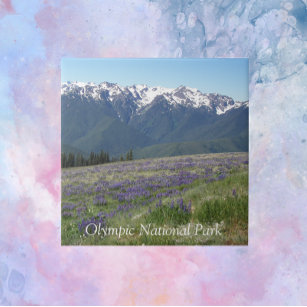 Olympic National Park Mountains and Meadows Ceramic Tile