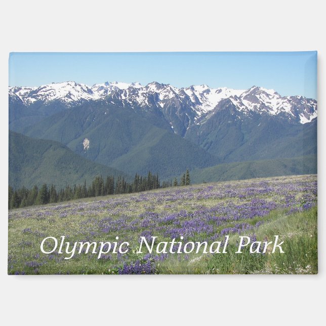 Olympic National Park Mountains and Meadows Magnet (Front)