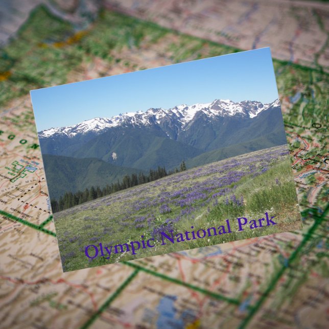 Olympic National Park Mountains and Meadows Postcard (In Situ Map)