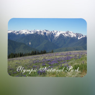 Olympic National Park Photo Magnet