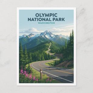 Olympic National Park Port Angeles Washington Postcard