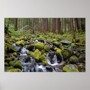 Olympic National Park Poster