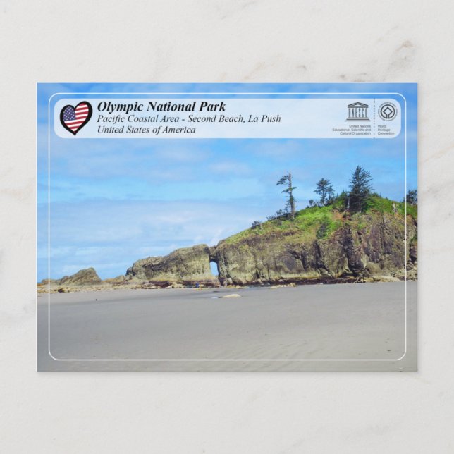 Olympic National Park - Second Beach, La Push Postcard (Front)