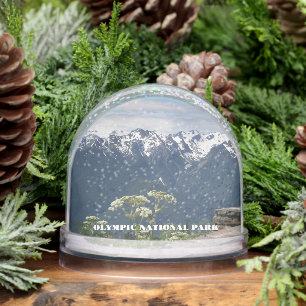 Olympic National Park Travel Photo Snowglobe