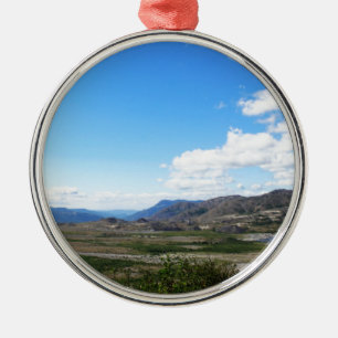 Olympic National Park, U.S.A. Beautiful landscape Metal Tree Decoration