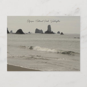 Olympic National Park Washington Beach Postcard
