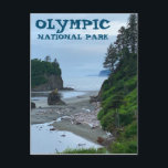 Olympic National Park Washington Rocky Beach Postcard<br><div class="desc">Hi there! Hope you like this photo I captured on my travels. Feel free to add your own text! Check my shop for more.</div>