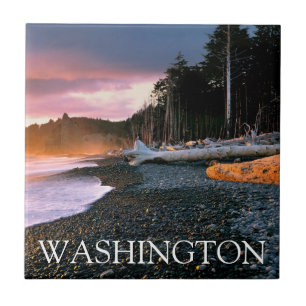 Olympic National Park   Washington State Ceramic Tile