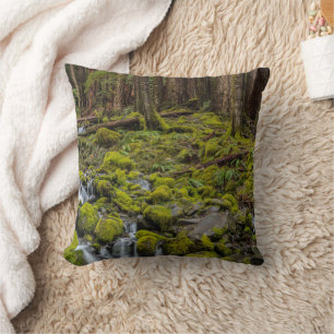 Olympic National Park, Washington State Cushion