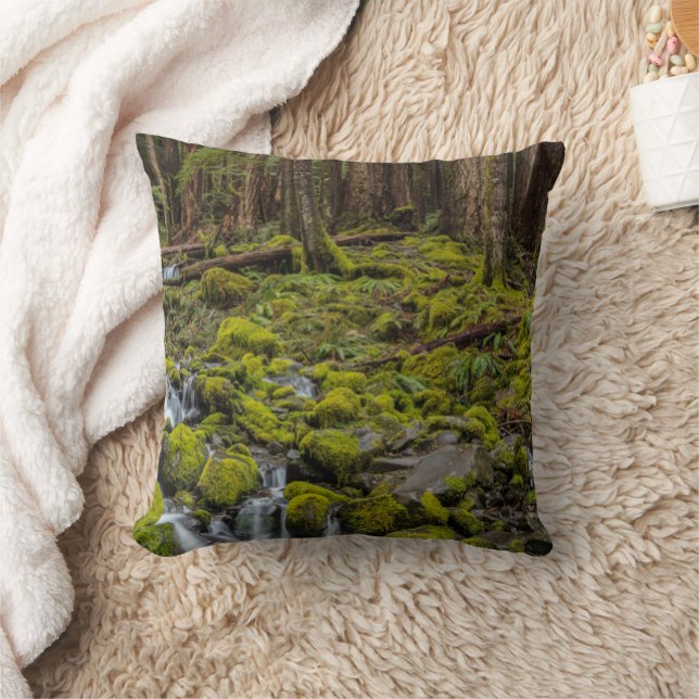Olympic National Park, Washington State Cushion (Blanket)