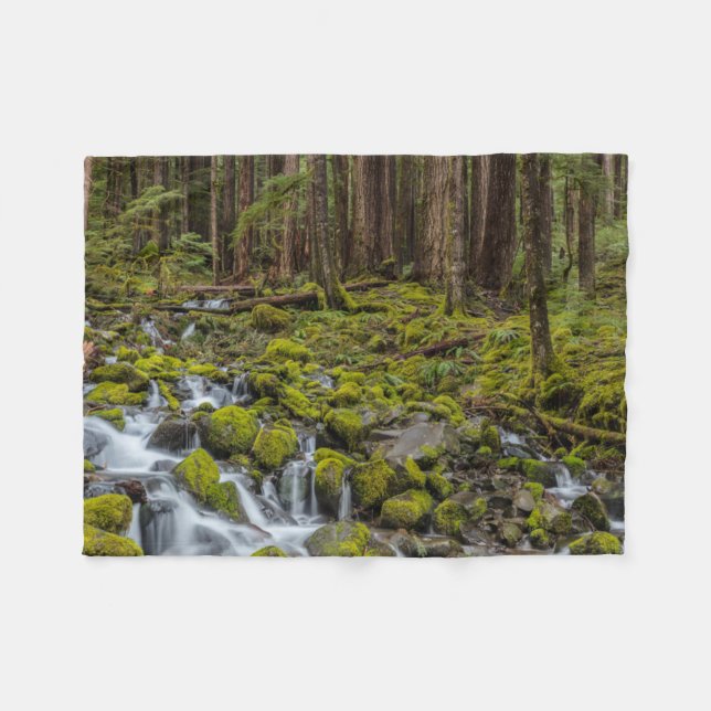 Olympic National Park, Washington State Fleece Blanket (Front (Horizontal))