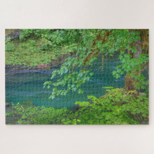 Olympic National Park Washington State Jigsaw Puzzle