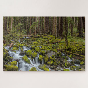 Olympic National Park, Washington State Jigsaw Puzzle