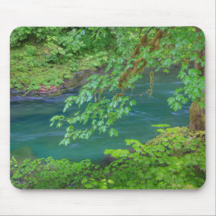Olympic National Park Washington State Mouse Pad