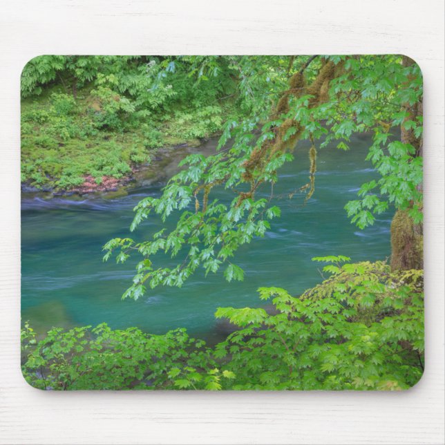 Olympic National Park Washington State Mouse Pad (Front)