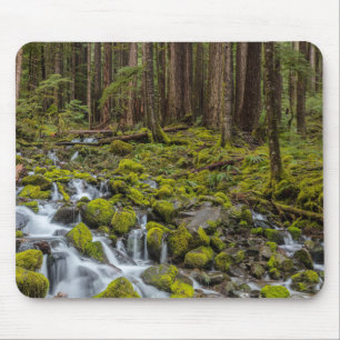Olympic National Park, Washington State Mouse Pad