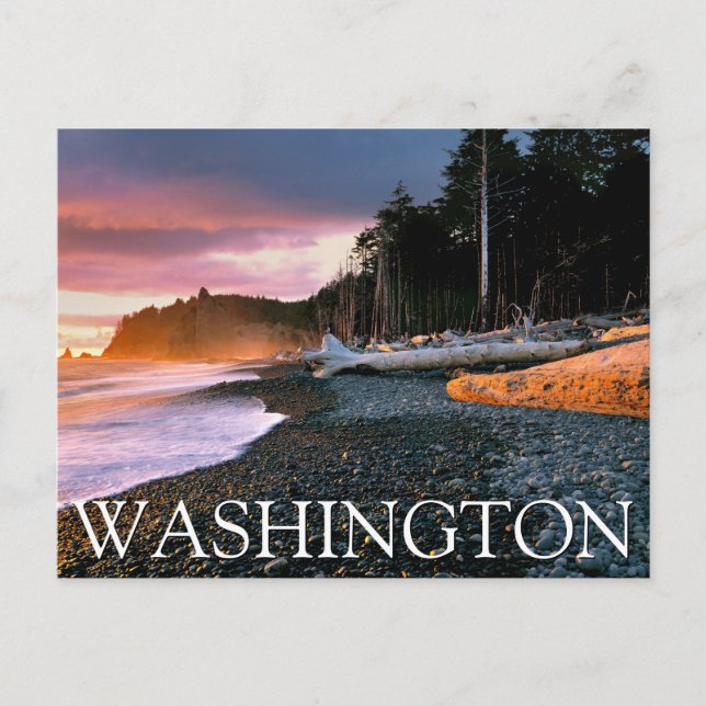 Olympic National Park | Washington State Postcard (Front)