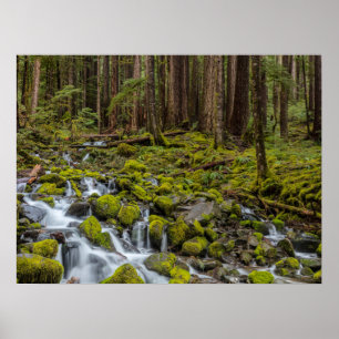Olympic National Park, Washington State Poster