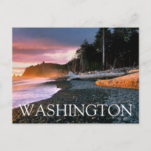 Olympic National Park   Washington State Thank You Postcard
