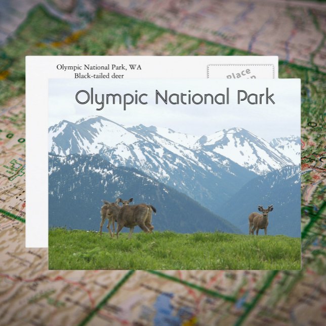 Olympic National Park Wildlife Travel Photo Postcard (In Situ Map)