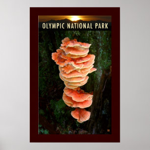 Olympic NP-Chicken of the Woods-Poster Poster