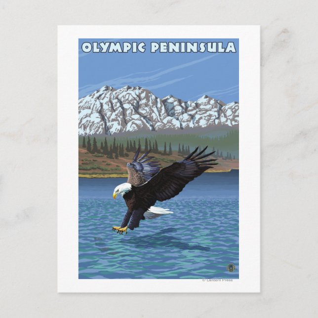 Olympic Peninsula, WashingtonFishing Eagle Postcard (Front)