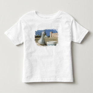 Oman, Dhofar Region, Mirbat. Large Water Carafe Toddler T-Shirt