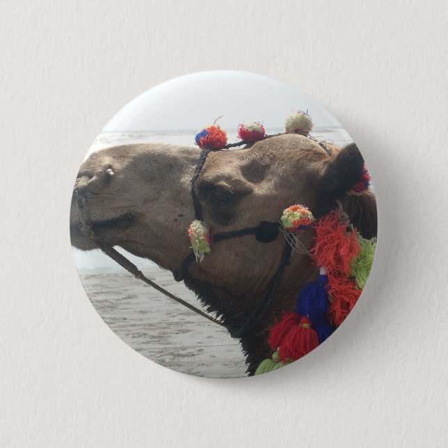 Oman Muscat Camel Photo Art Print 6 Cm Round Badge (Front)